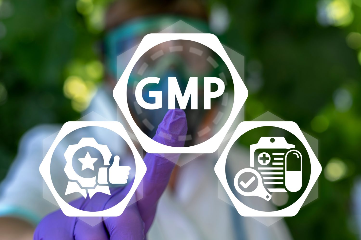 GMP quality