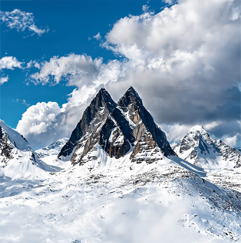 Himalayan Shilajit